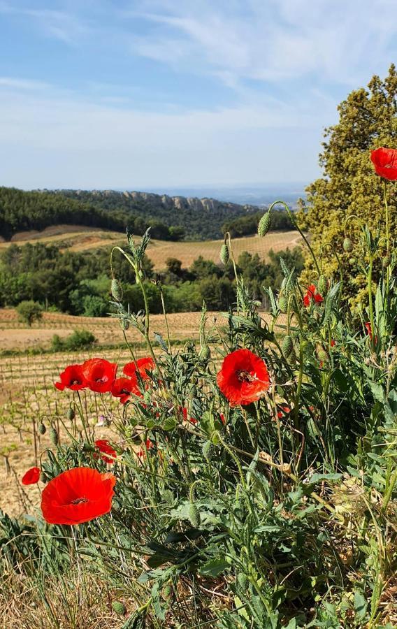 Hébergement de vacances Des Fleurs