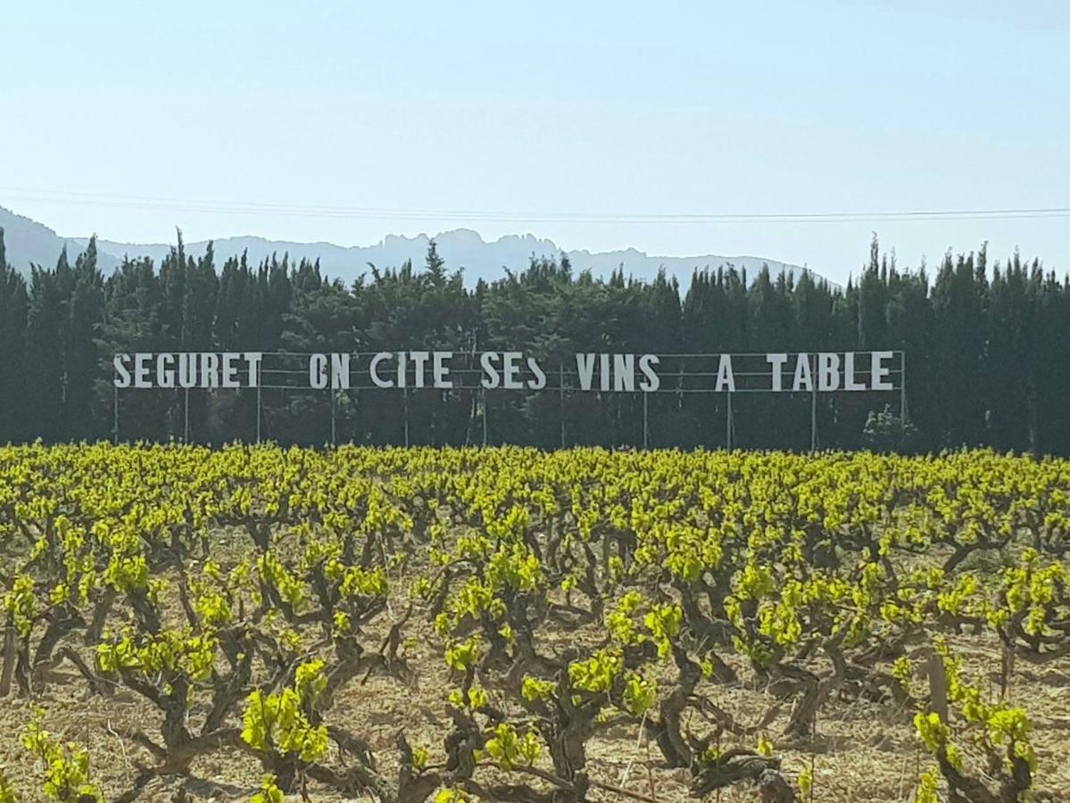 Des Fleurs * Séguret